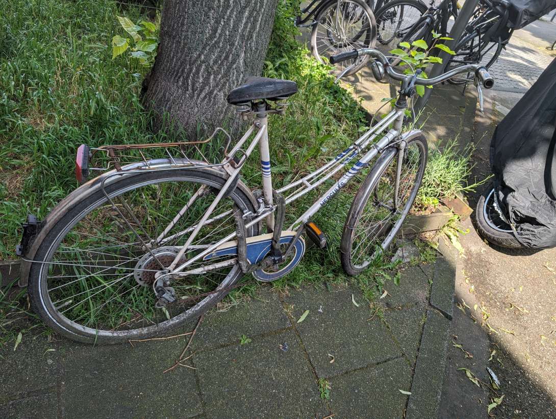 Bild zu gemeldetem Anliegen vom *2024-05-21 13:07:37