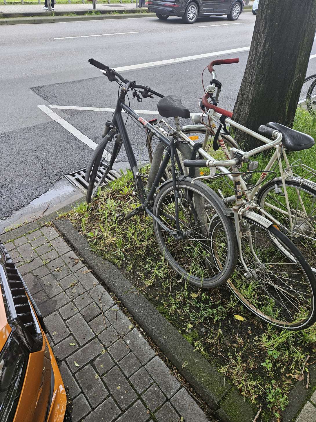 Bild zu gemeldetem Anliegen vom *2024-05-08 11:19:44