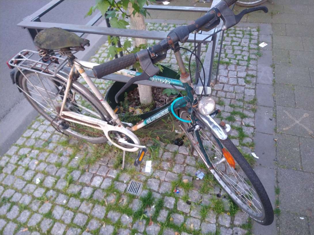 Bild zu gemeldetem Anliegen vom *2024-05-15 09:13:09