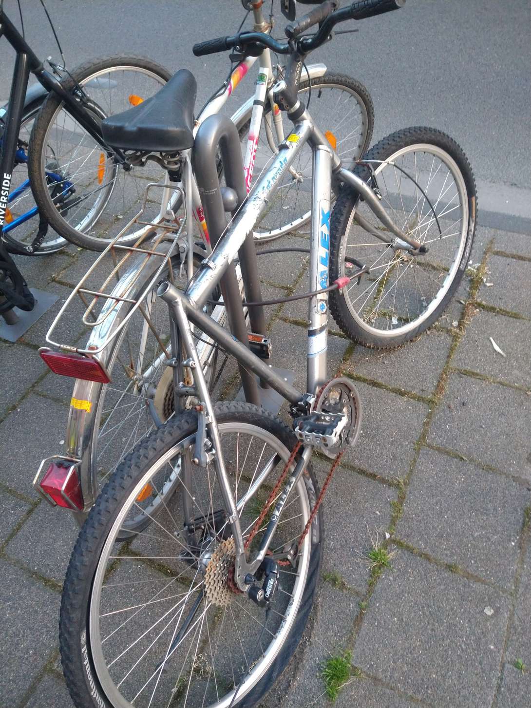 Bild zu gemeldetem Anliegen vom *2024-05-15 09:13:27