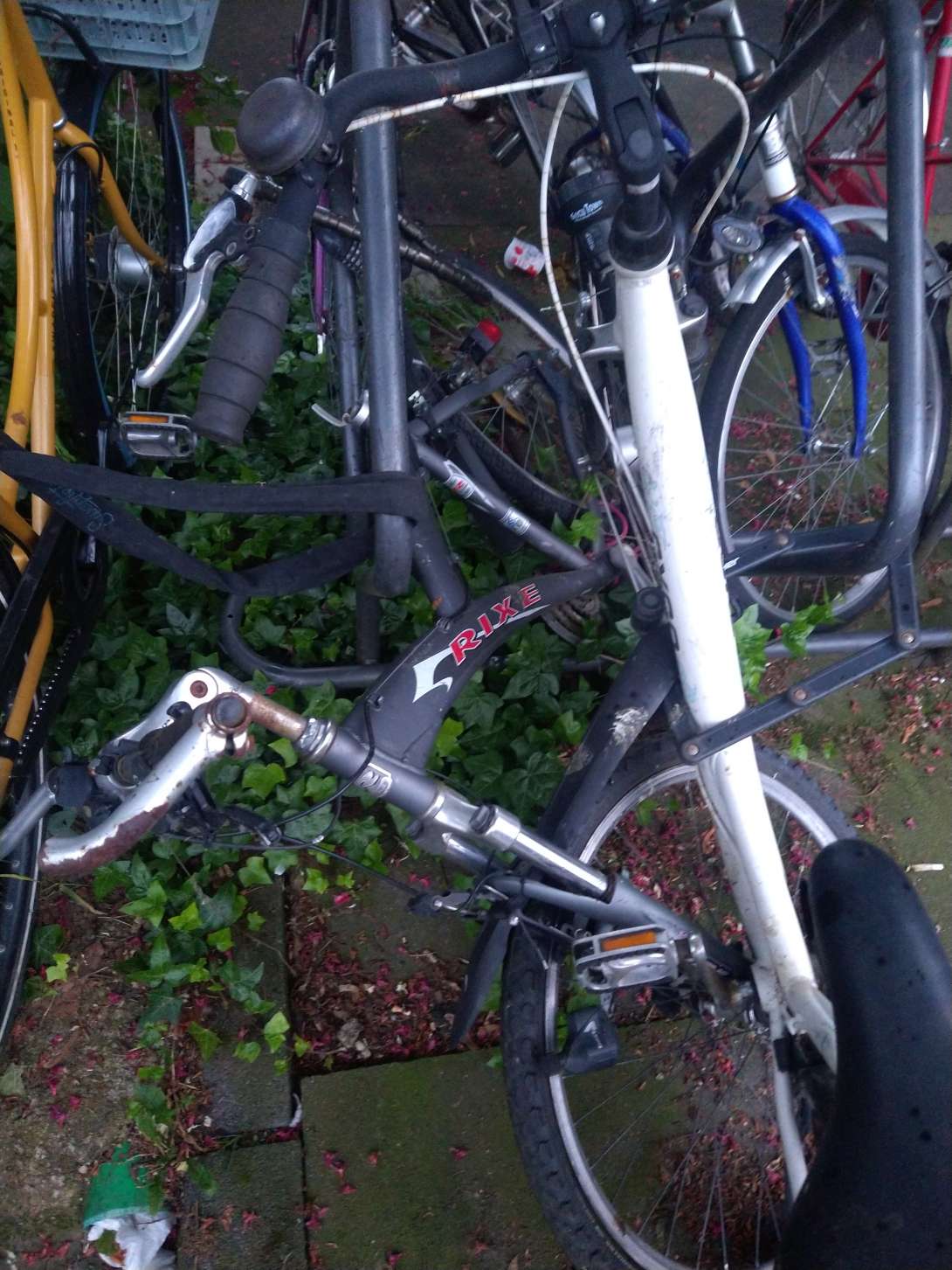 Bild zu gemeldetem Anliegen vom *2024-05-16 06:48:23