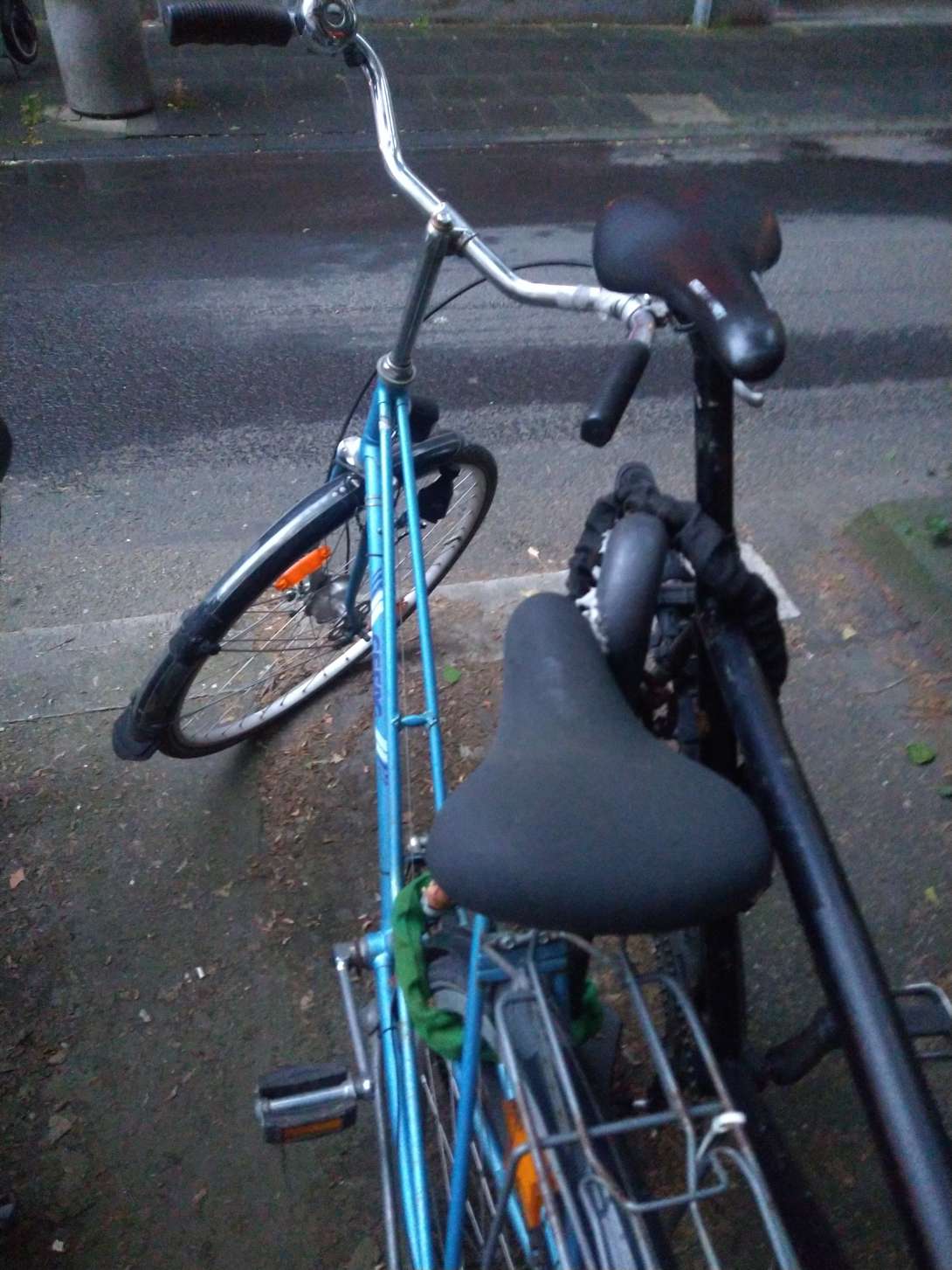 Bild zu gemeldetem Anliegen vom *2024-05-16 07:27:43