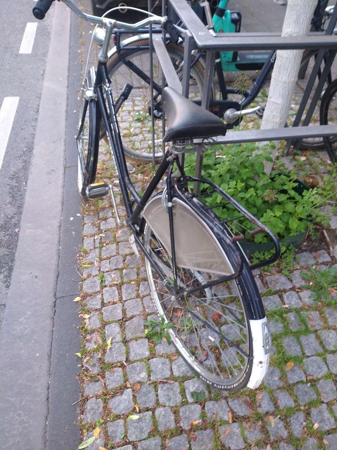 Bild zu gemeldetem Anliegen vom *2024-05-23 06:41:18