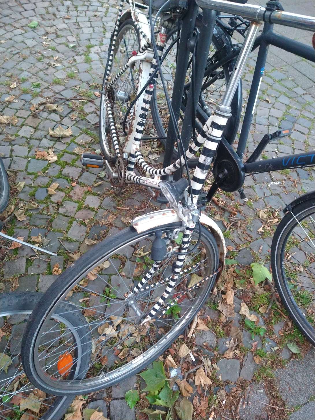 Bild zu gemeldetem Anliegen vom *2024-05-23 06:43:21