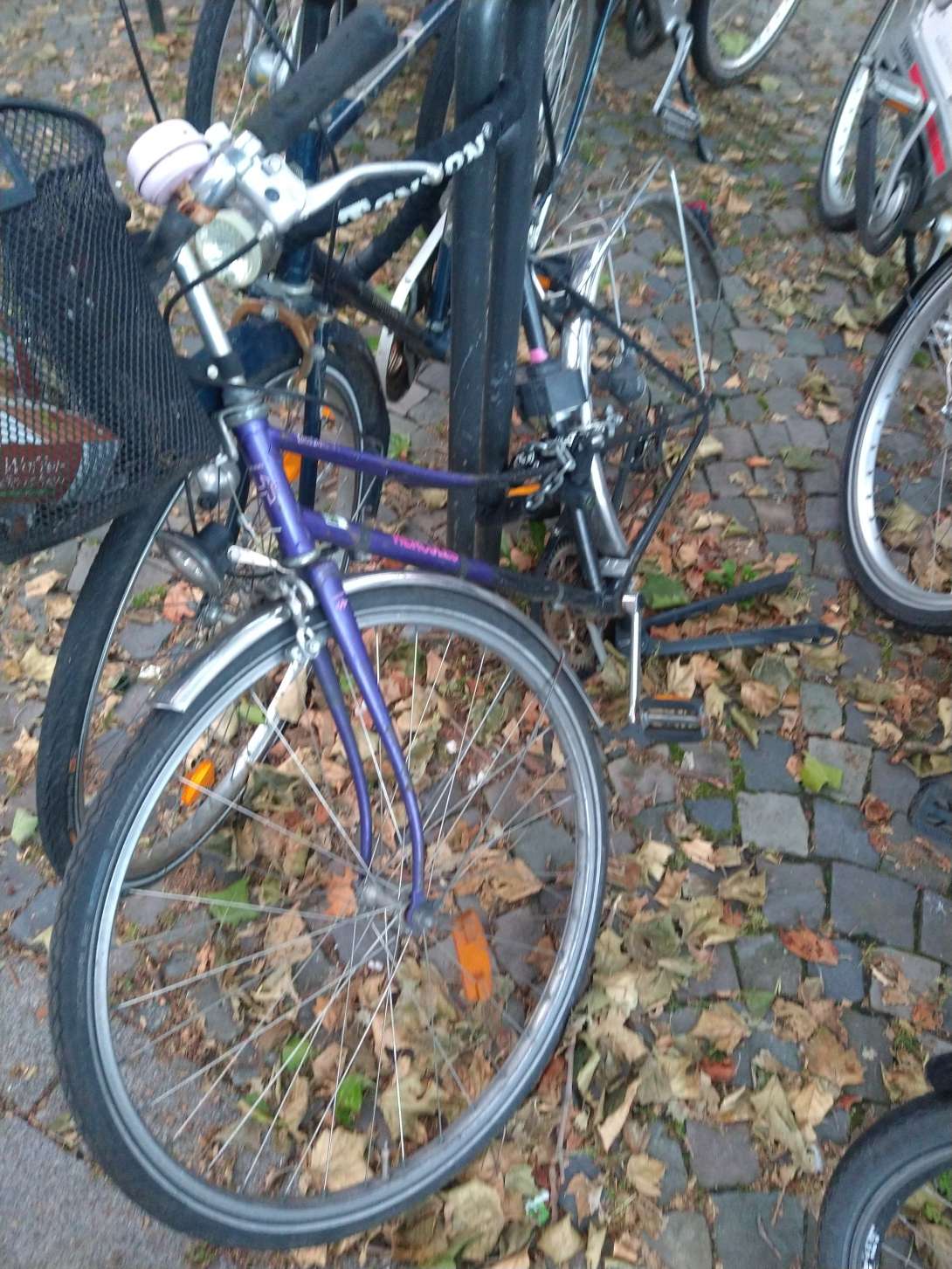 Bild zu gemeldetem Anliegen vom *2024-05-23 06:43:53