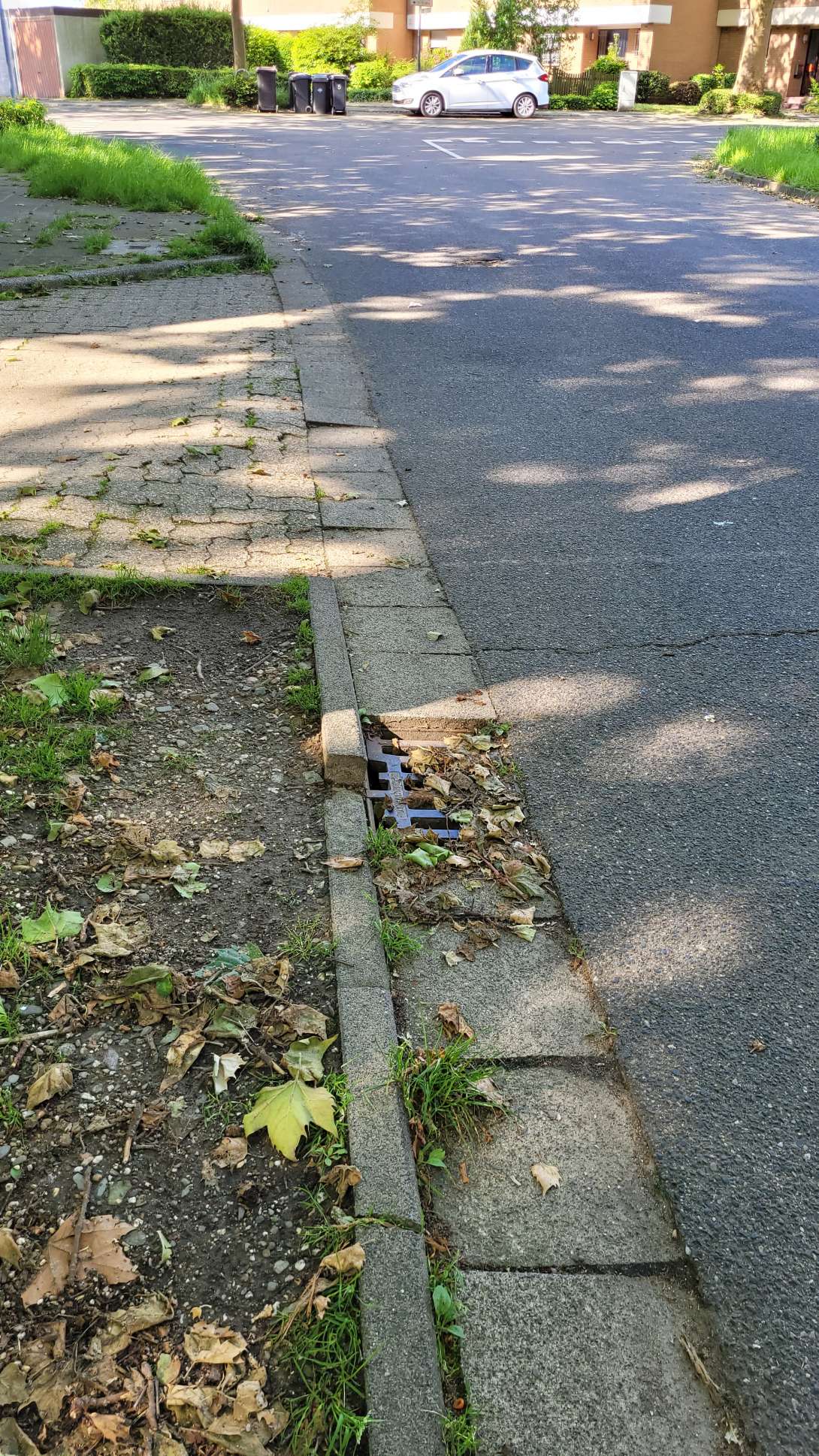 Bild zu gemeldetem Anliegen vom *2024-05-27 11:23:39