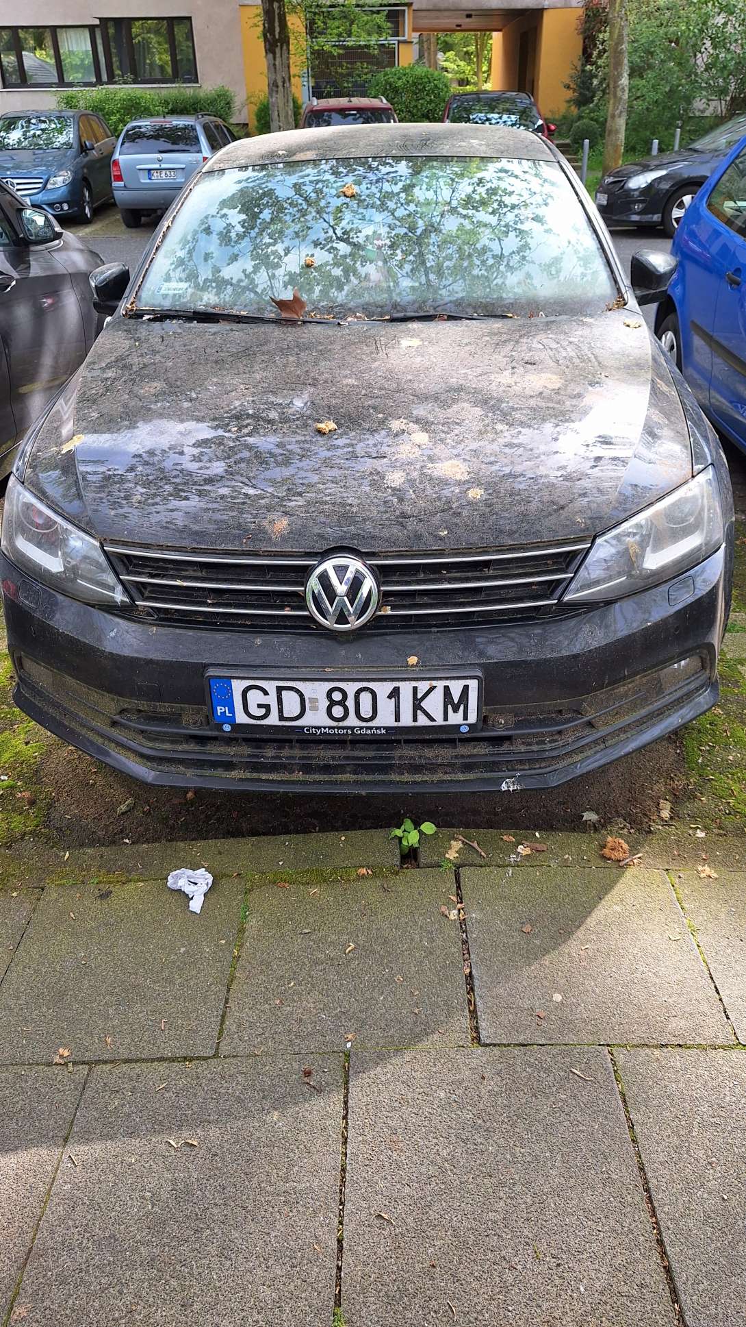 Bild zu gemeldetem Anliegen vom *2024-05-07 06:21:44