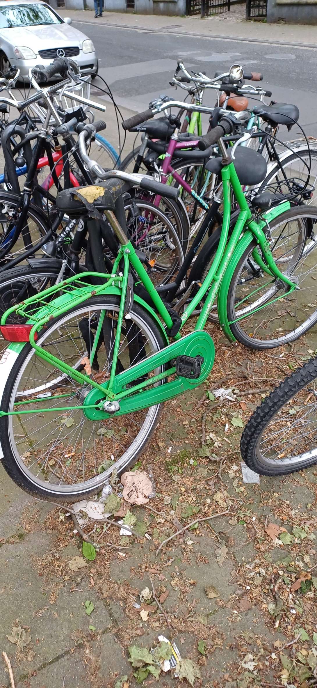 Bild zu gemeldetem Anliegen vom *2024-05-06 13:24:40