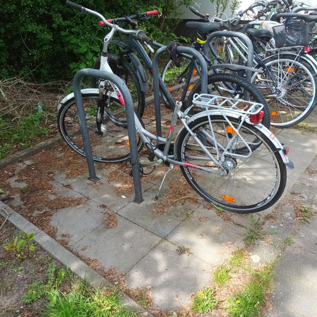 Bild zu gemeldetem Anliegen vom *2024-05-03 06:15:06