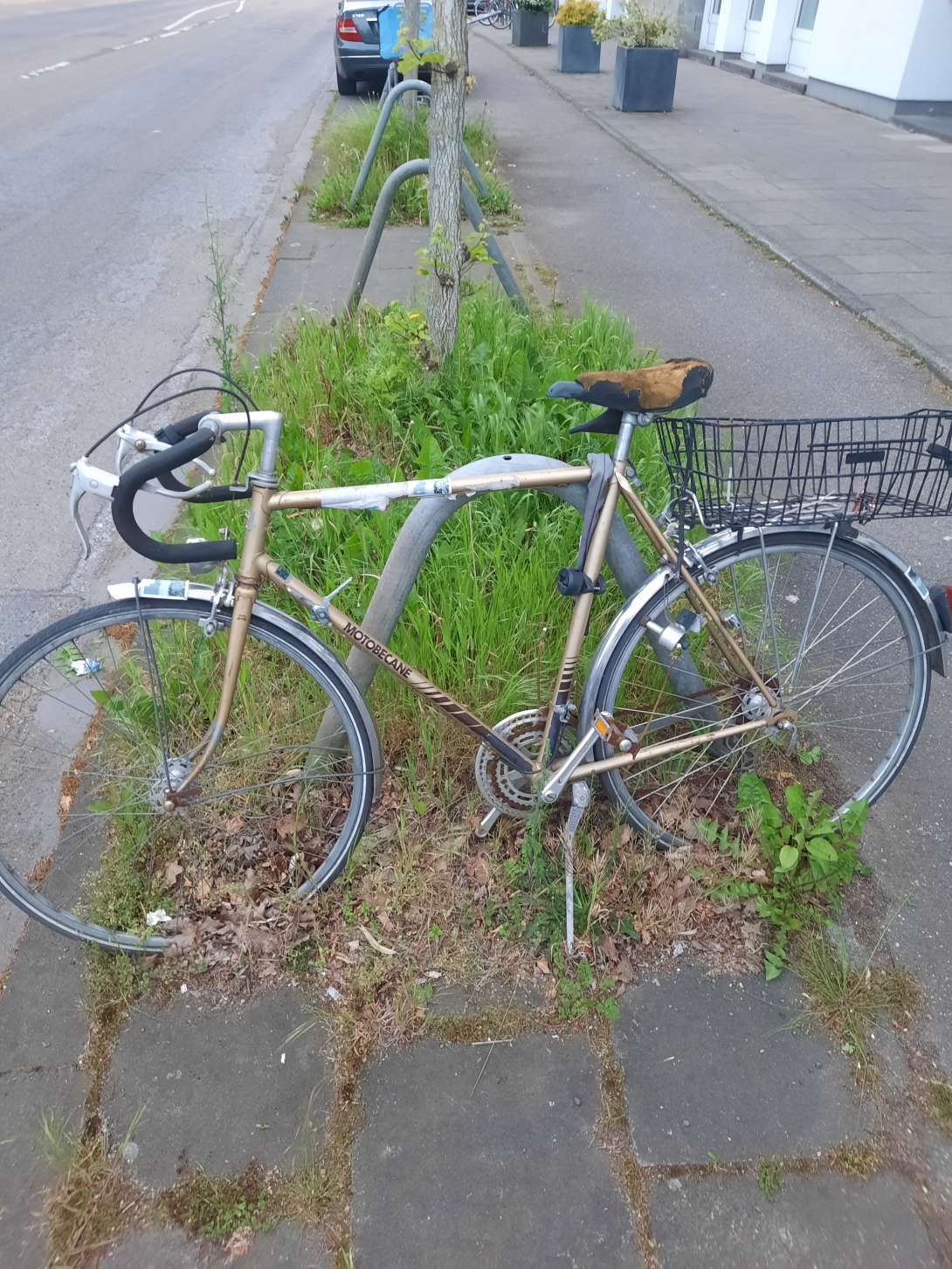 Bild zu gemeldetem Anliegen vom *2024-05-02 13:13:24