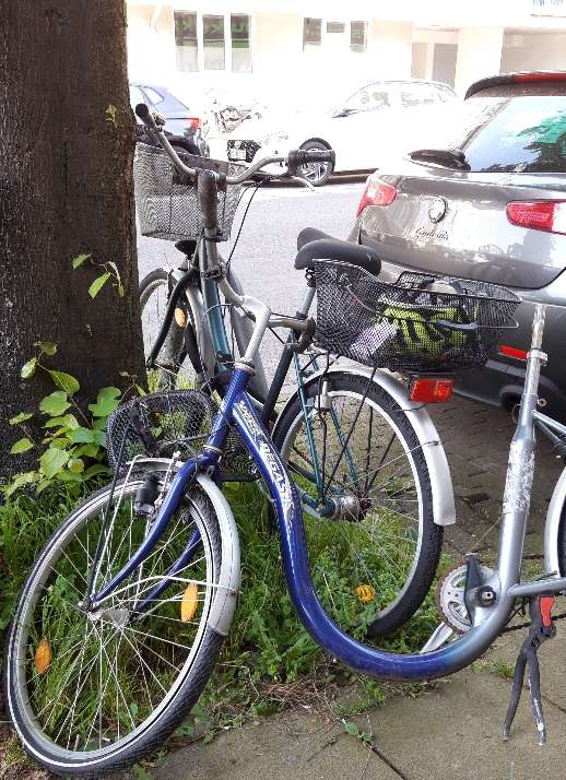 Bild zu gemeldetem Anliegen vom *2024-05-02 16:35:56