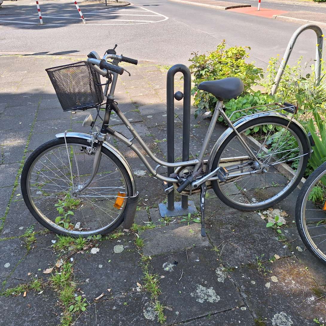 Bild zu gemeldetem Anliegen vom *2024-05-10 06:39:55