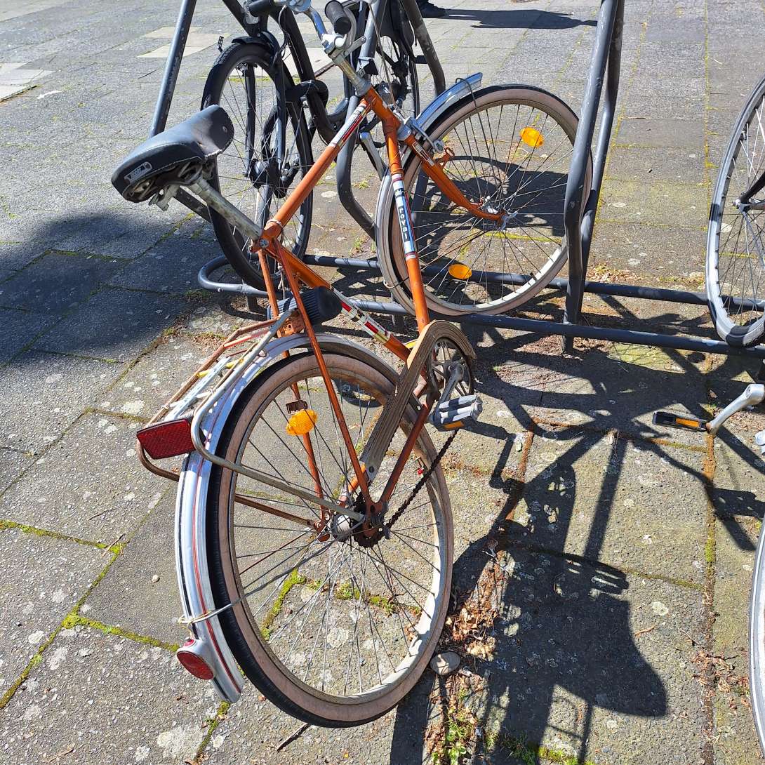 Bild zu gemeldetem Anliegen vom *2024-05-14 12:24:07