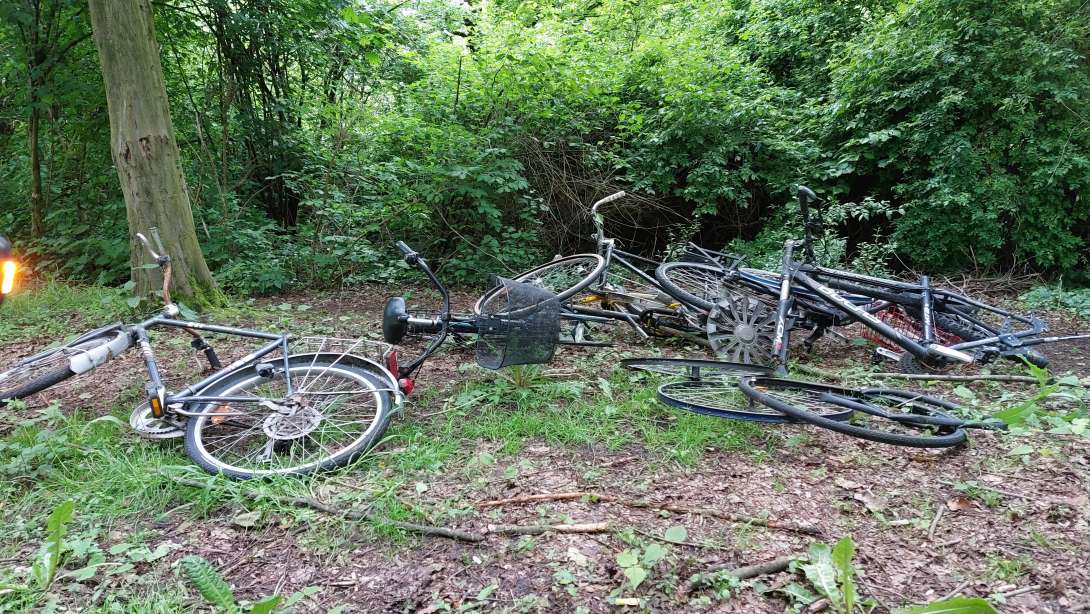 Bild zu gemeldetem Anliegen vom *2024-05-08 08:05:36