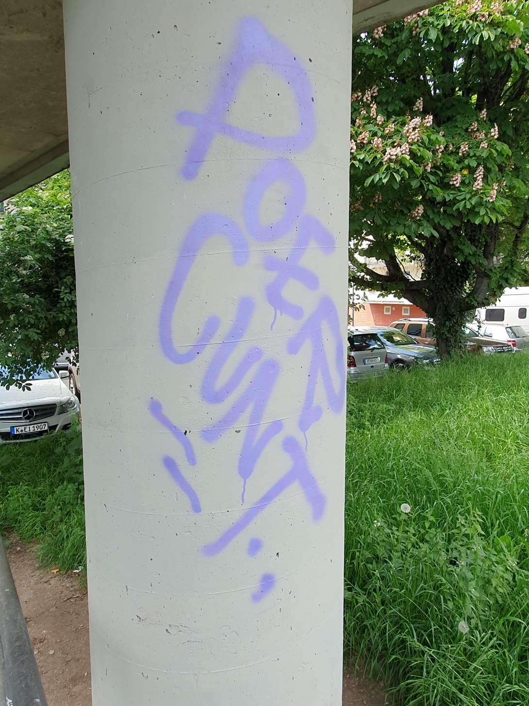 Bild zu gemeldetem Anliegen vom *2024-05-12 23:15:15
