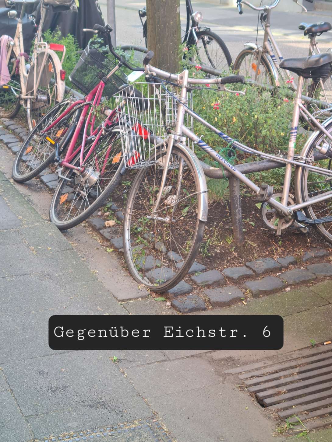 Bild zu gemeldetem Anliegen vom *2024-05-15 07:10:42