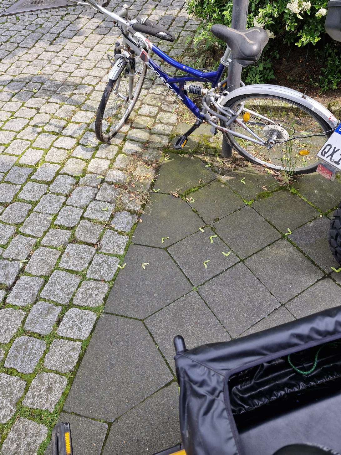 Bild zu gemeldetem Anliegen vom *2024-05-23 06:38:12