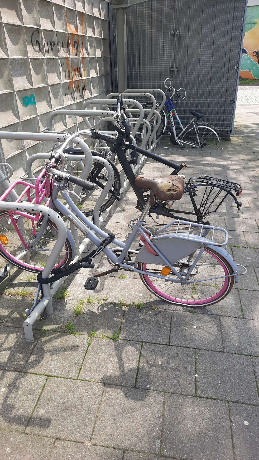 Bild zu gemeldetem Anliegen vom *2024-05-21 13:04:19