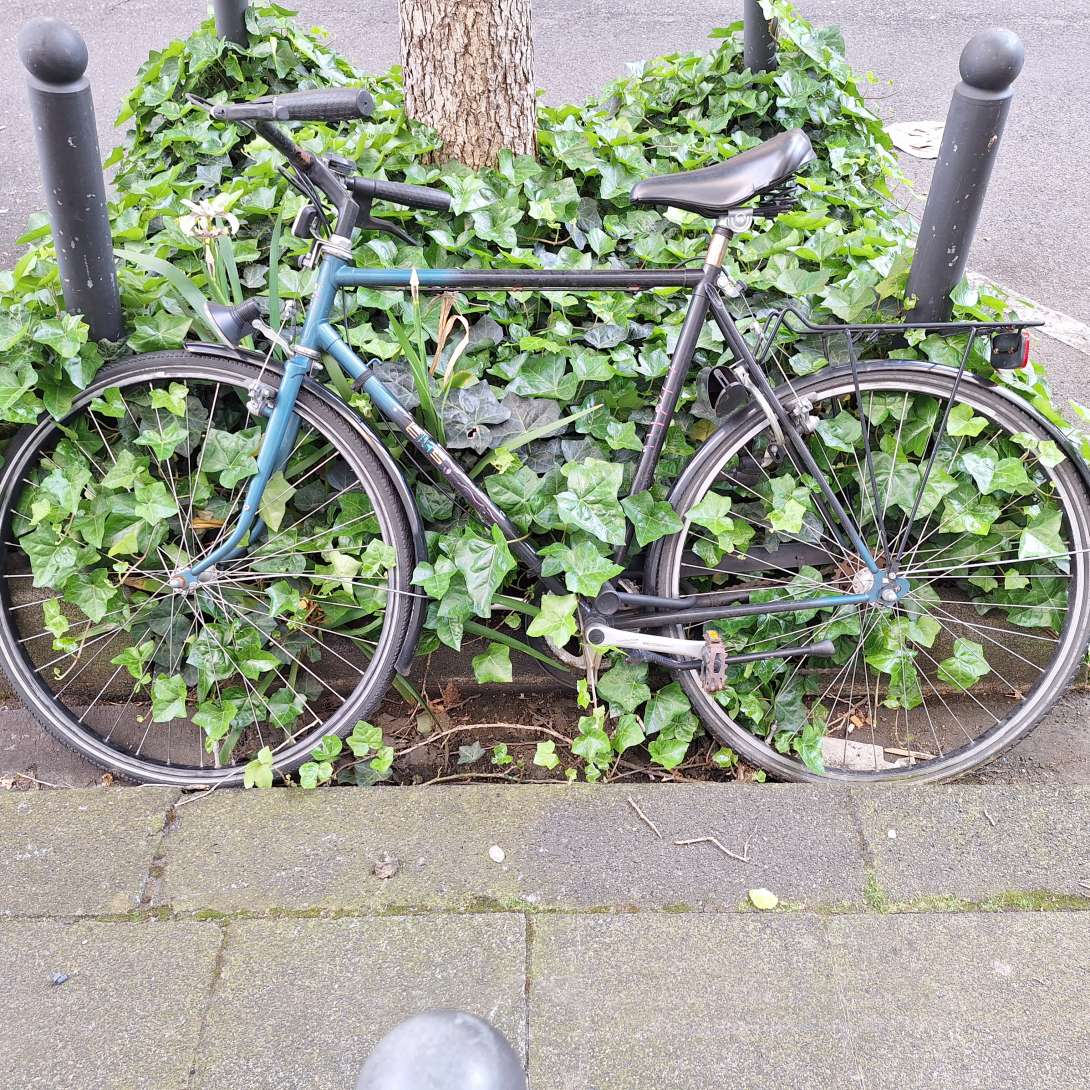 Bild zu gemeldetem Anliegen vom *2024-05-23 08:57:49