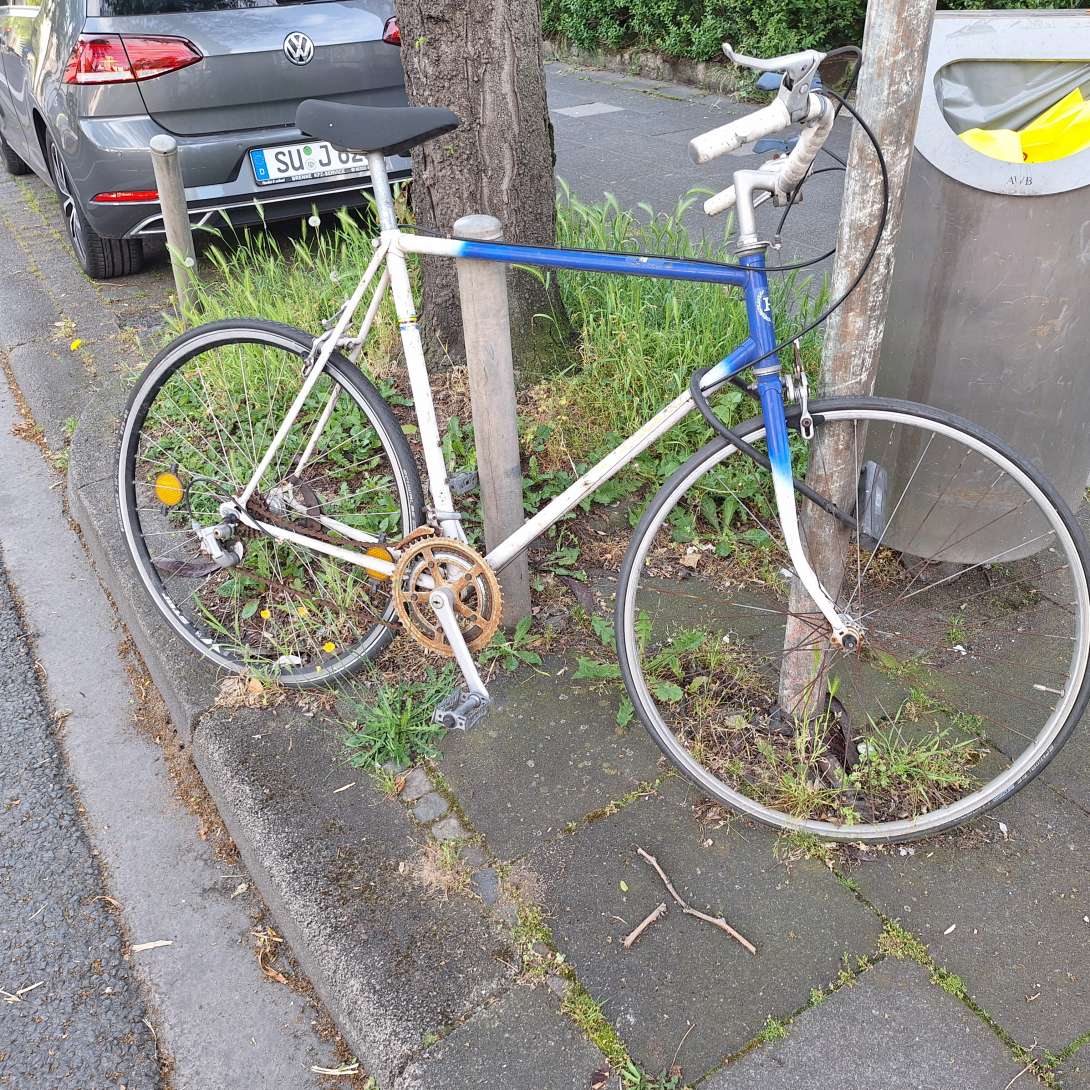 Bild zu gemeldetem Anliegen vom *2024-05-21 13:03:58