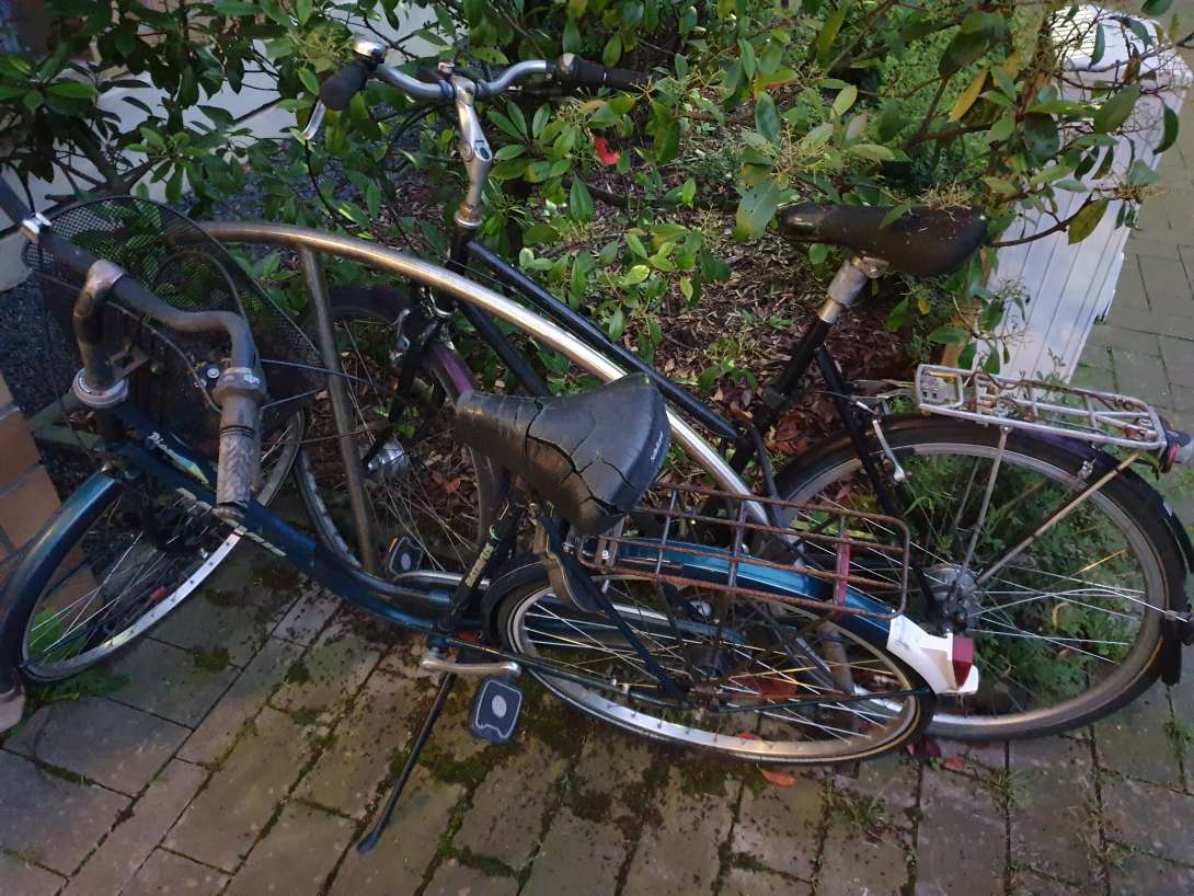 Bild zu gemeldetem Anliegen vom *2024-06-17 22:53:08