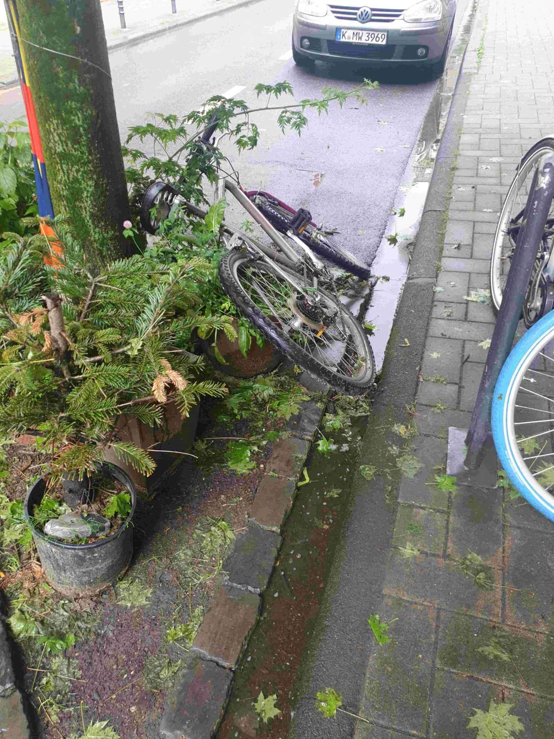 Bild zu gemeldetem Anliegen vom *2024-05-28 06:18:41