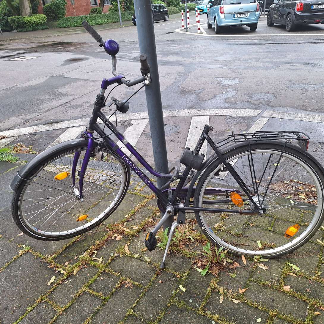 Bild zu gemeldetem Anliegen vom *2024-05-27 09:10:17