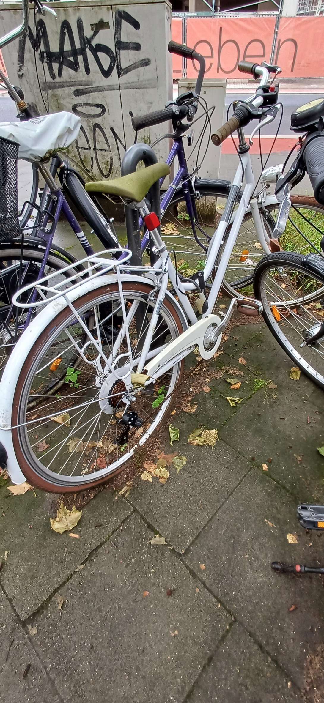 Bild zu gemeldetem Anliegen vom *2024-05-27 06:28:21