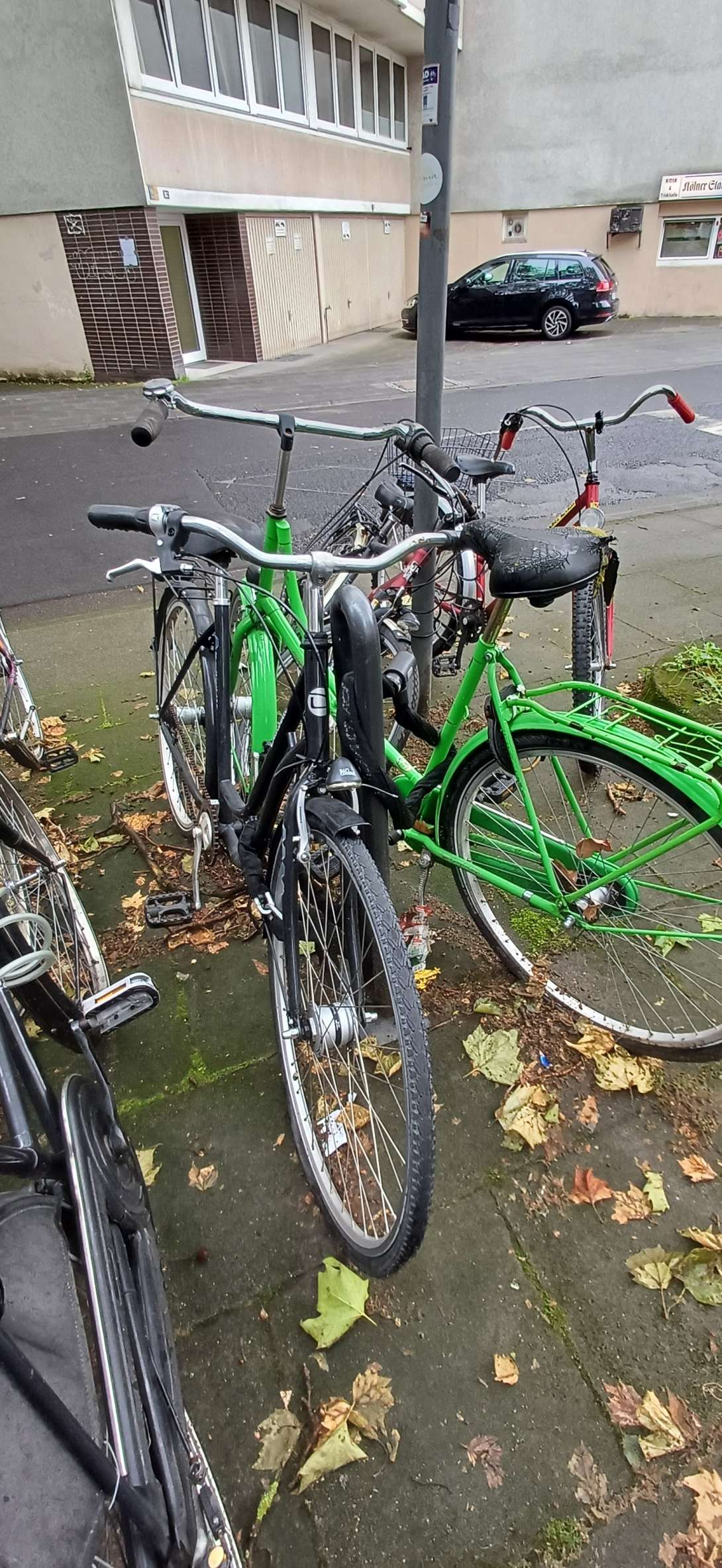 Bild zu gemeldetem Anliegen vom *2024-06-07 14:36:44