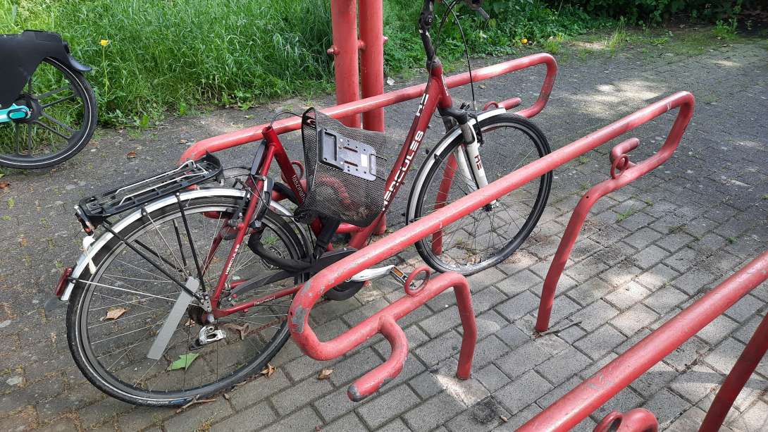 Bild zu gemeldetem Anliegen vom *2024-05-27 06:18:32