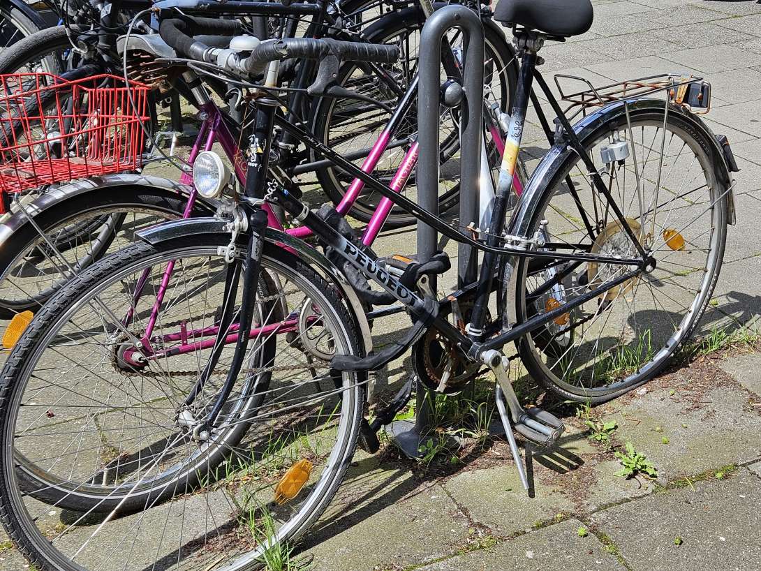 Bild zu gemeldetem Anliegen vom *2024-05-27 13:02:02