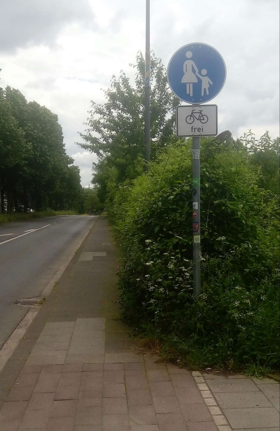 Bild zu gemeldetem Anliegen vom *2024-05-31 07:49:50