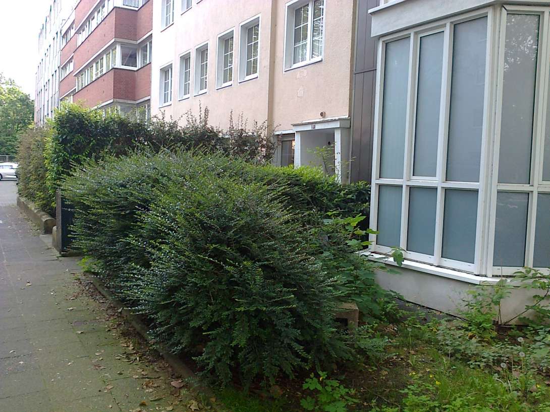 Bild zu gemeldetem Anliegen vom *2024-05-10 21:47:49