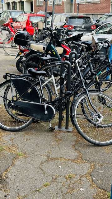 Bild zu gemeldetem Anliegen vom *2024-05-16 17:51:48