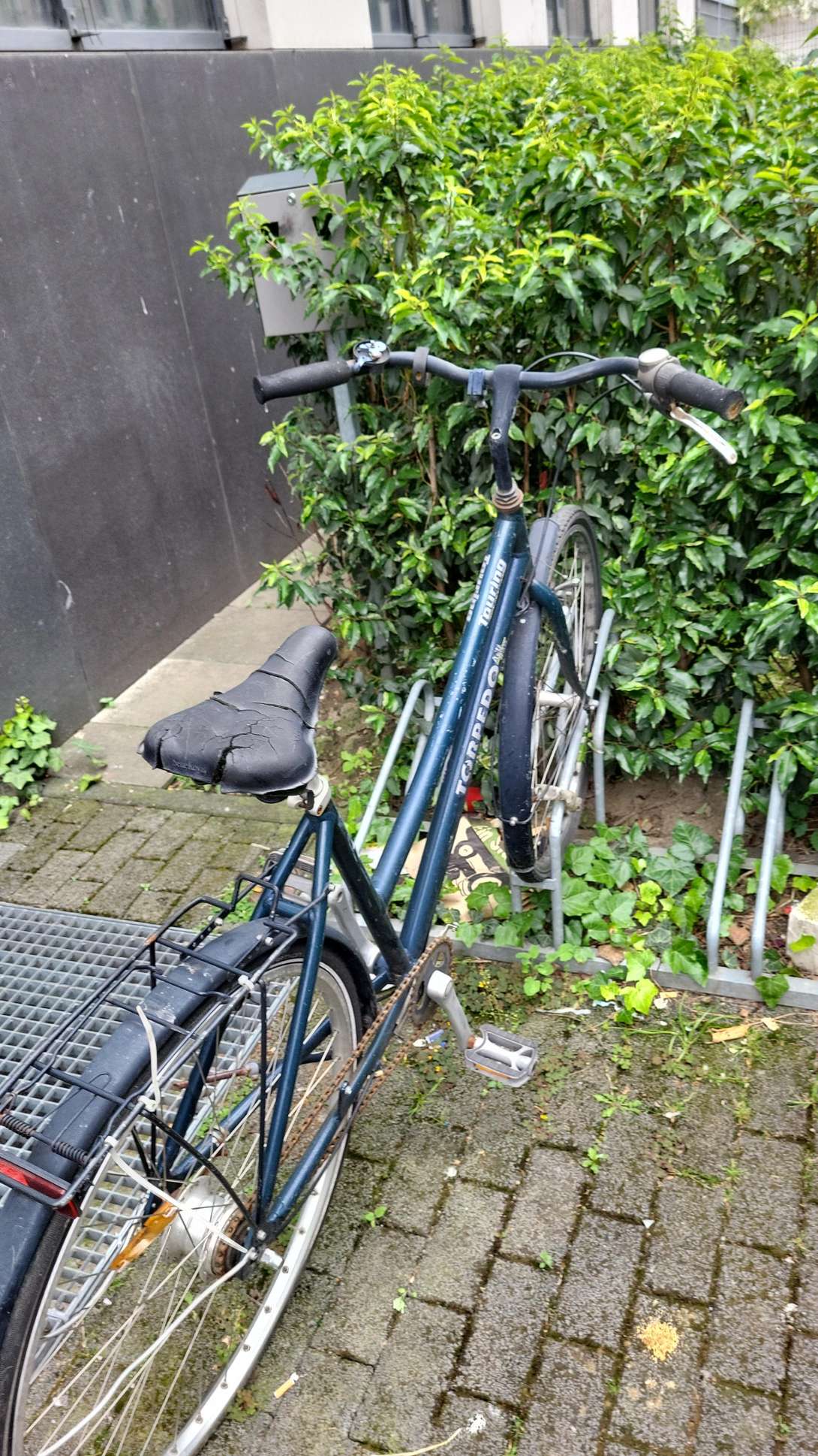 Bild zu gemeldetem Anliegen vom *2024-05-22 08:48:27