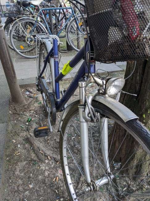 Bild zu gemeldetem Anliegen vom *2024-05-14 17:18:51