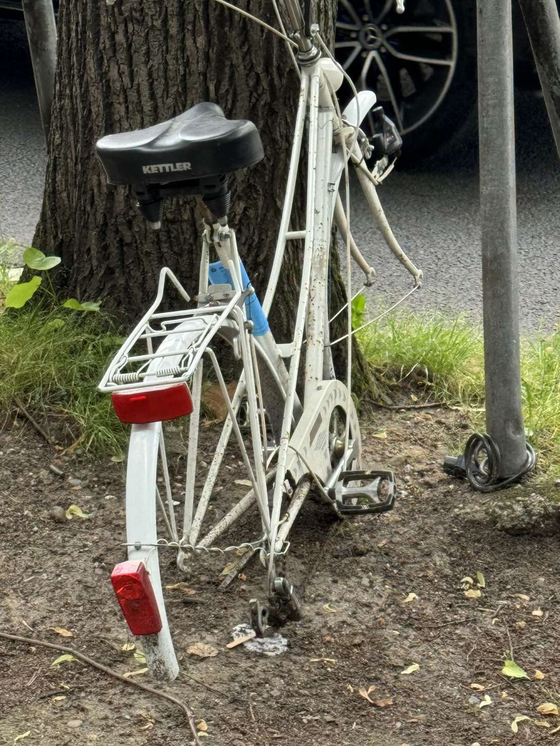 Bild zu gemeldetem Anliegen vom *2024-05-22 06:24:09