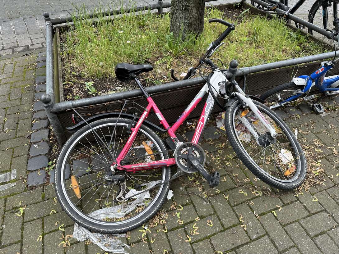 Bild zu gemeldetem Anliegen vom *2024-05-06 07:51:53