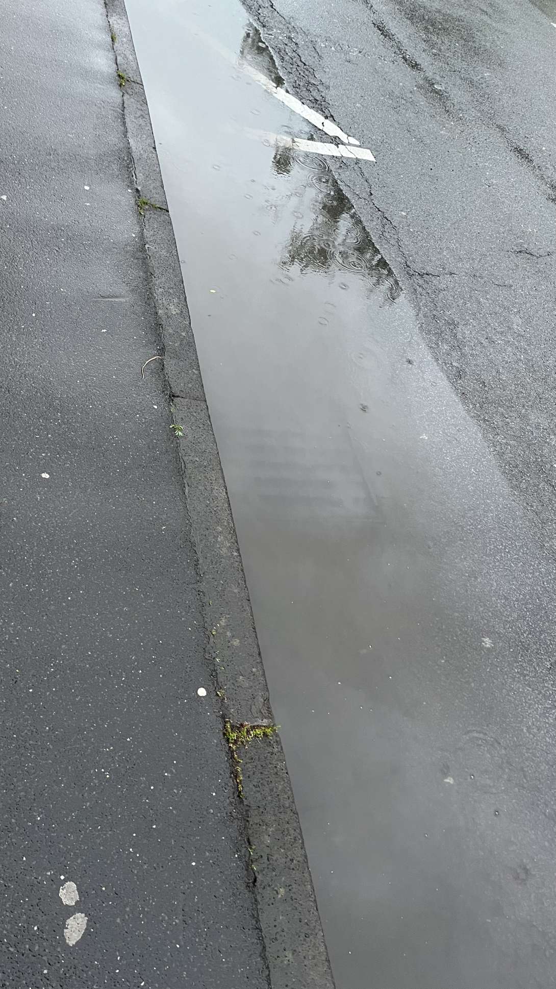 Bild zu gemeldetem Anliegen vom *2024-05-03 07:51:28