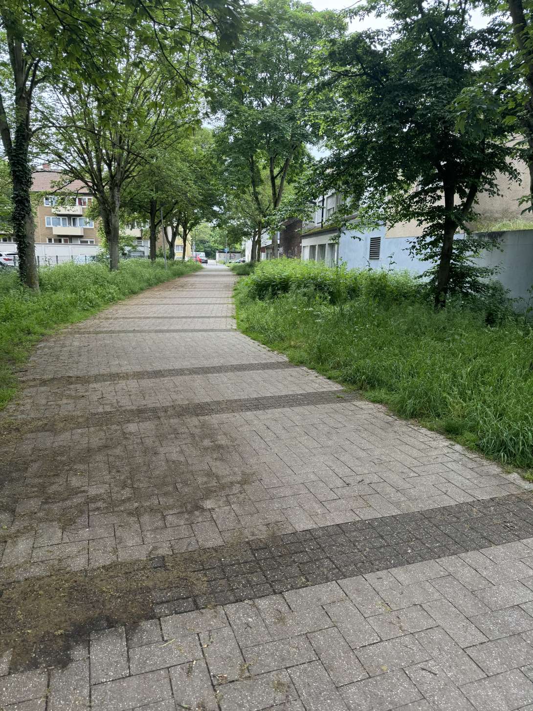 Bild zu gemeldetem Anliegen vom *2024-05-18 13:48:59