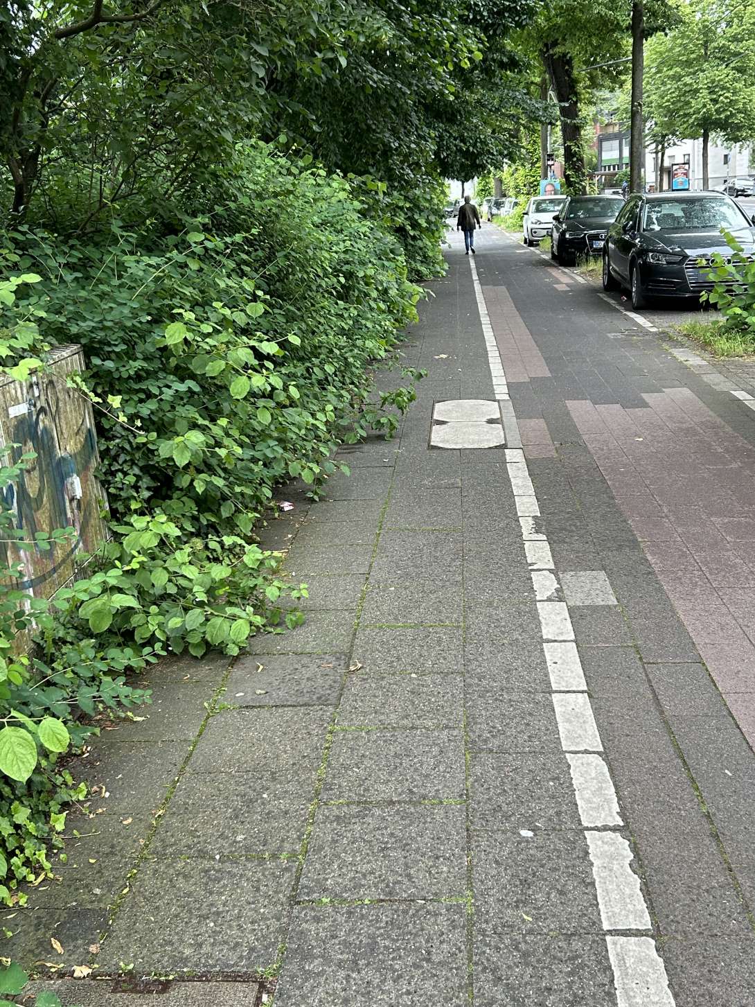 Bild zu gemeldetem Anliegen vom *2024-05-28 17:28:25