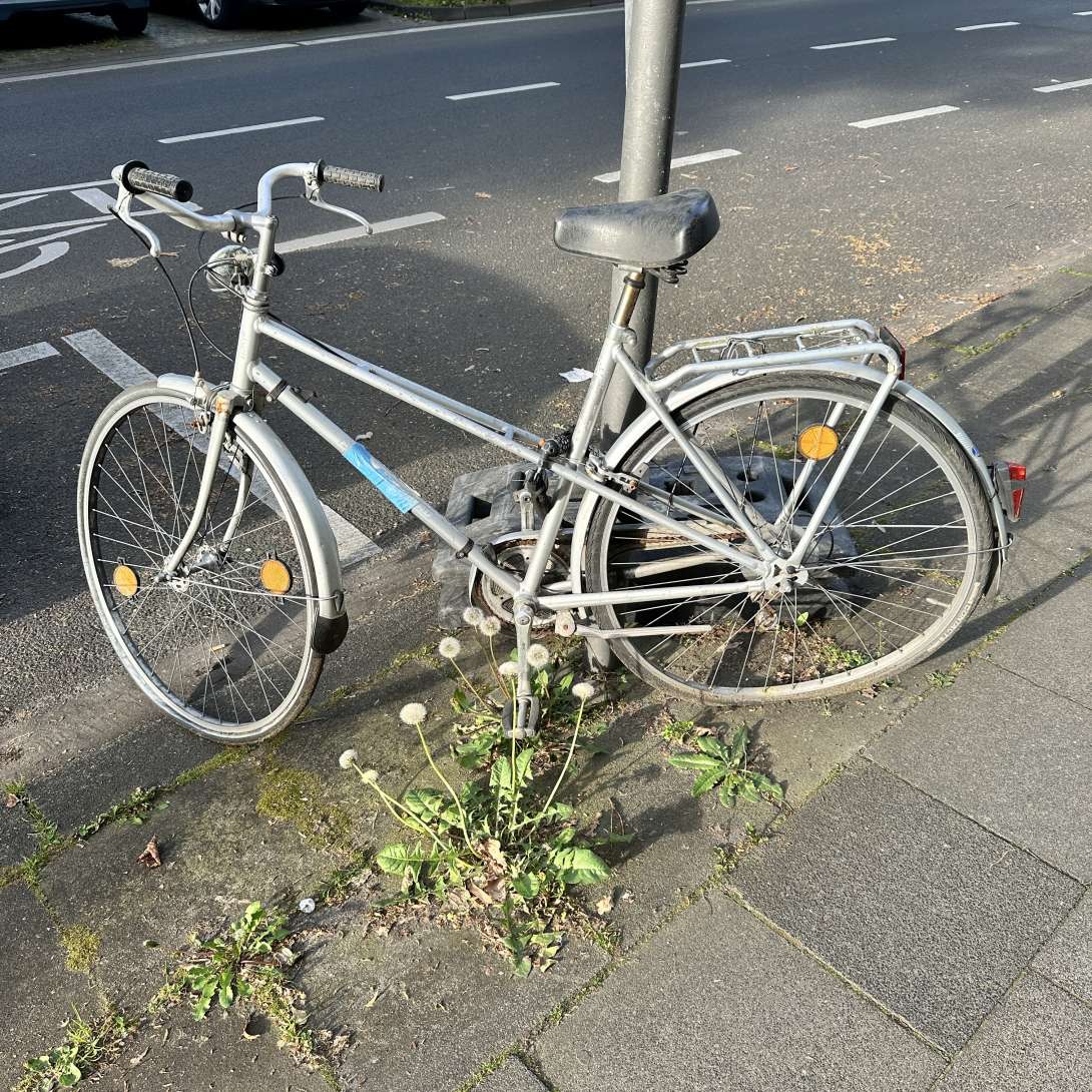 Bild zu gemeldetem Anliegen vom *2024-05-02 07:41:26