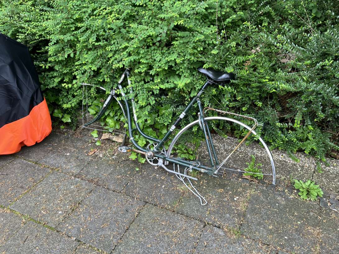 Bild zu gemeldetem Anliegen vom *2024-05-21 13:17:49