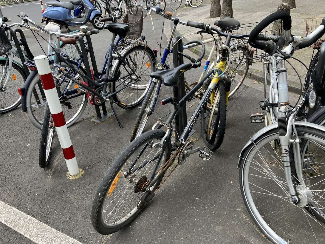 Bild zu gemeldetem Anliegen vom *2024-05-21 13:17:13