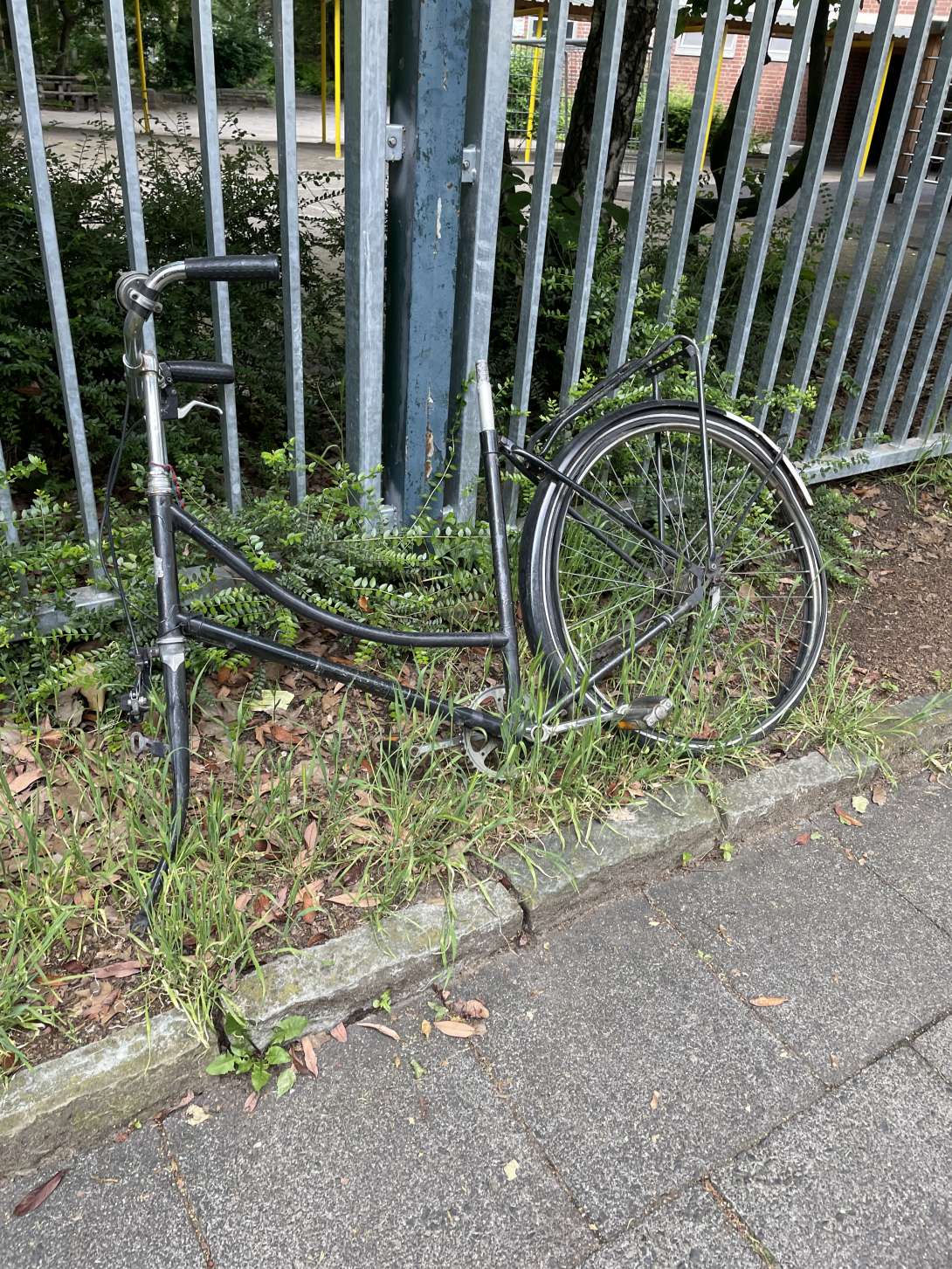 Bild zu gemeldetem Anliegen vom *2024-05-29 10:37:43