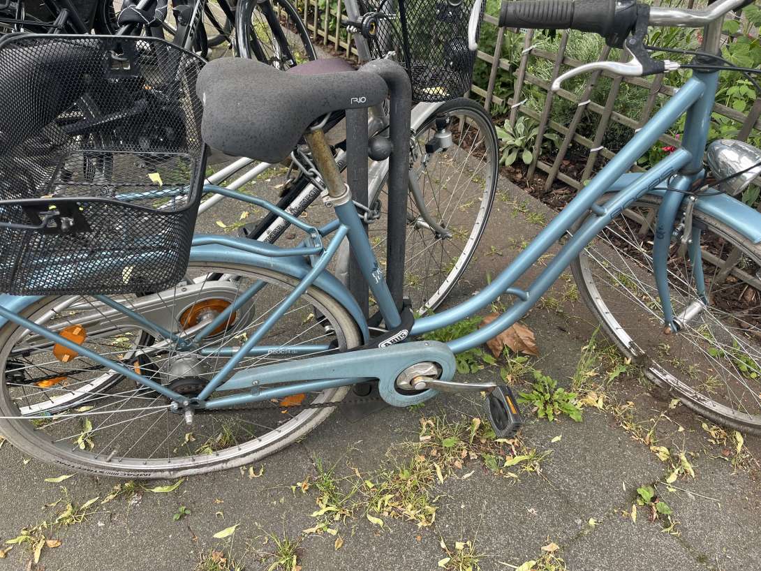 Bild zu gemeldetem Anliegen vom *2024-05-16 12:41:56