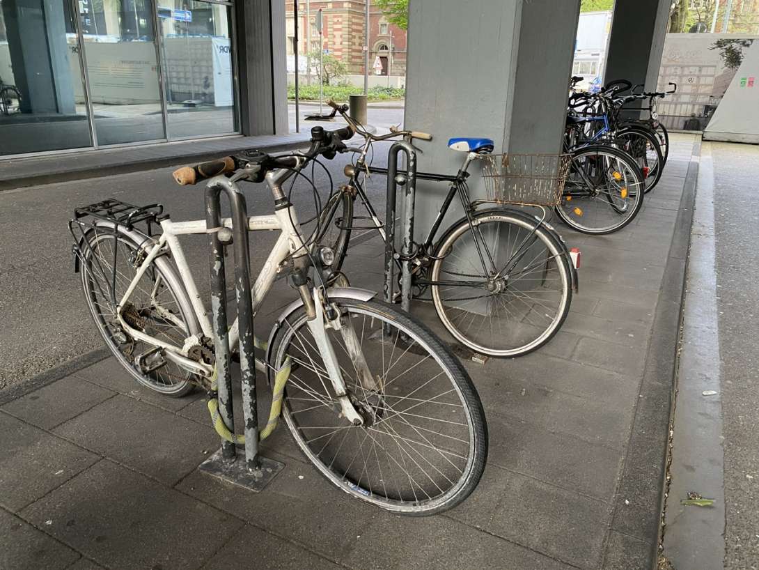 Bild zu gemeldetem Anliegen vom *2024-05-06 09:14:59