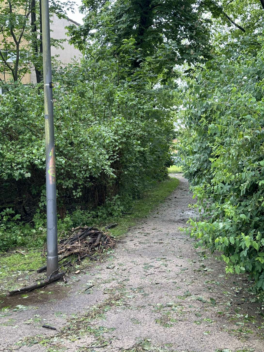 Bild zu gemeldetem Anliegen vom *2024-05-06 09:42:16