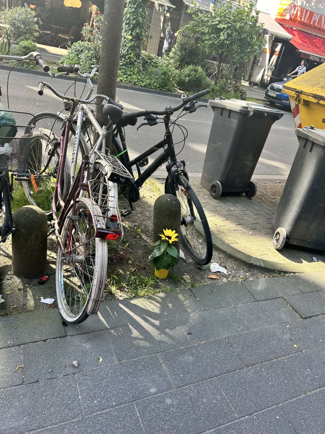 Bild zu gemeldetem Anliegen vom *2024-05-21 08:54:07