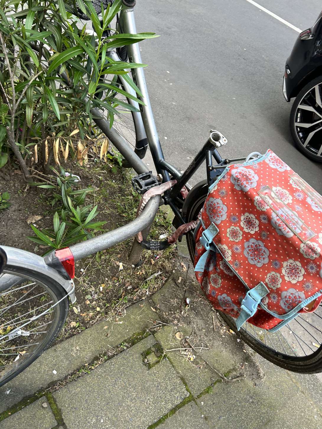 Bild zu gemeldetem Anliegen vom *2024-05-27 07:55:14